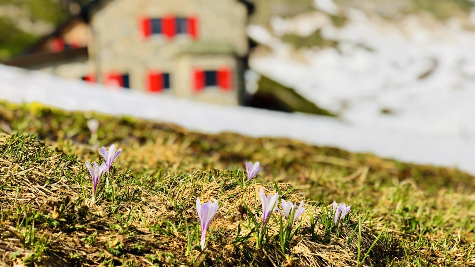 Hüttenjobs im Frühling