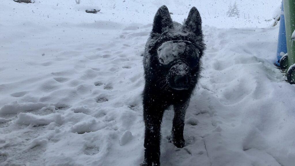 Betriebsausflug Team 2020