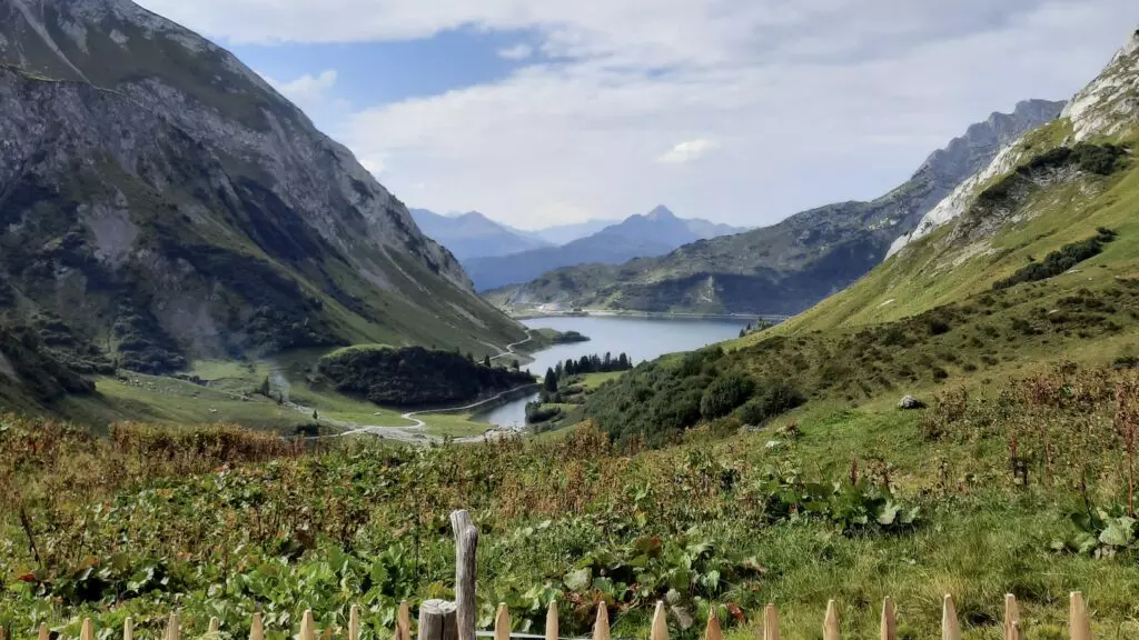 Carmen – Service im Sommer 2020 bis 2022